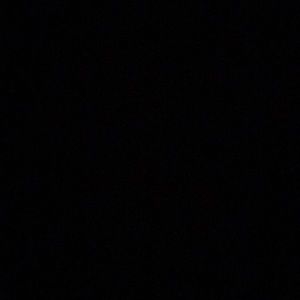 Meet your Posher, Darion